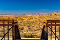 Home on the Range