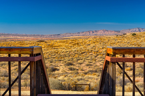 Home on the Range